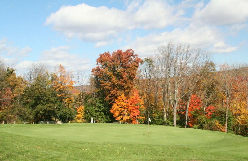 Colorful trees on golf course green